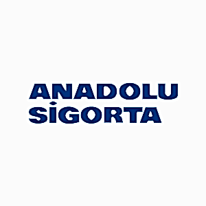 Read more about the article Anadolu Sigorta